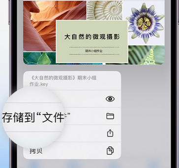 池州apple维修中心分享iPhone文件应用中存储和找到下载文件