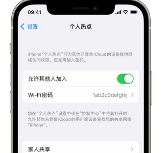 池州apple服务站点分享iPhone上个人热点丢失了怎么办 