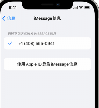 池州apple维修iPhone上无法正常发送iMessage信息 