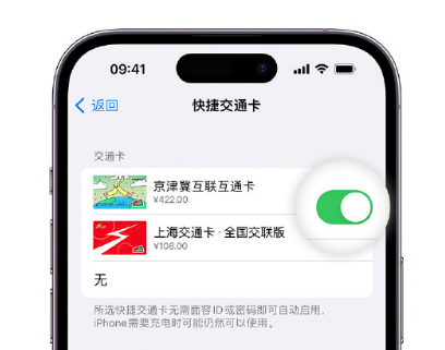 池州apple维修点分享iPhone上更换Apple Pay快捷交通卡手绘卡面 