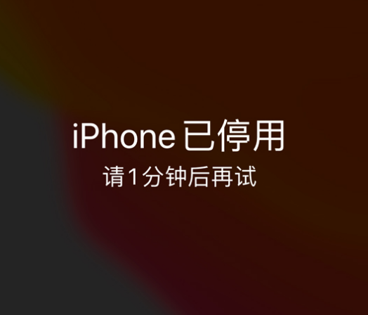 池州苹果手机维修分享:iPhone 显示“不可用”或“已停用”怎么办？还能保留数据吗？ 