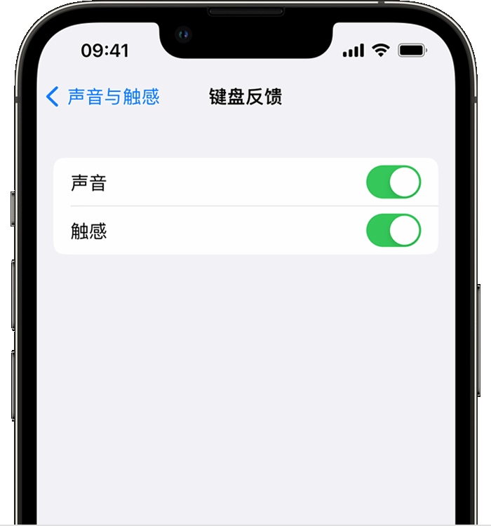 池州苹果14维修店分享如何在 iPhone 14 机型中使用触感键盘 