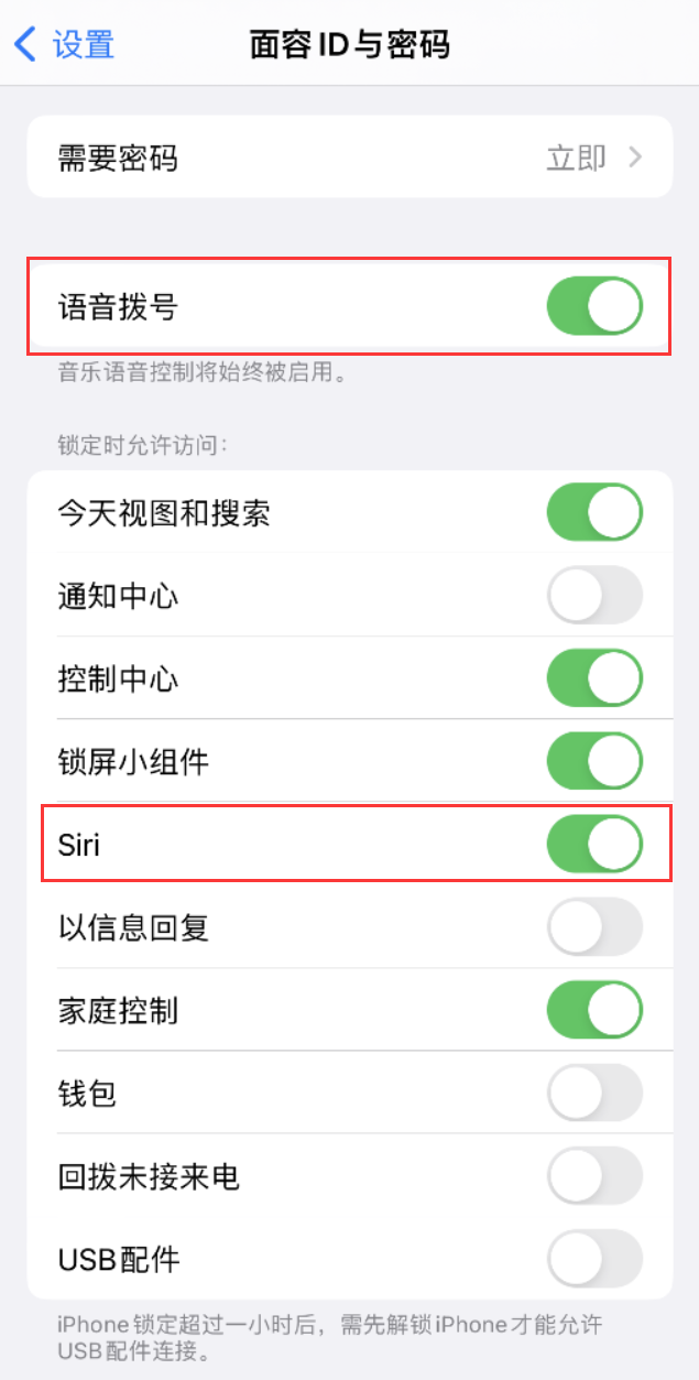 池州苹果维修网点分享不解锁 iPhone 的情况下通过 Siri 拨打电话的方法 