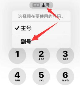 池州苹果14维修店分享iPhone 14 Pro Max使用副卡打电话的方法 