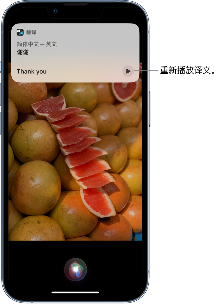 池州苹果14维修分享 iPhone 14 机型中使用 Siri：了解 Siri 能帮你做什么 