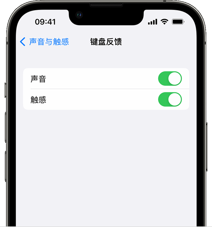池州苹果14维修分享iPhone 14 系列机型如何开启键盘声音或触感反馈 