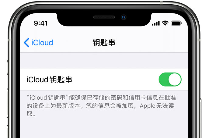 池州苹果手机维修分享在 iPhone 上开启 iCloud 钥匙串之后会储存哪些信息 