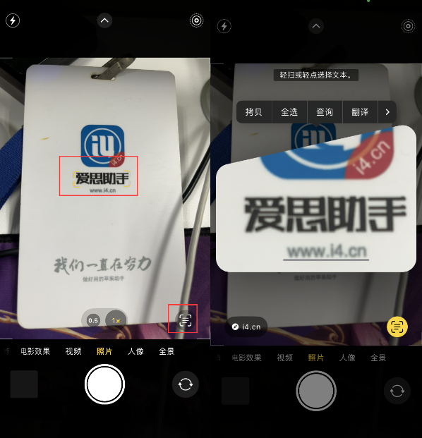 池州苹果手机维修分享升级iOS 16后如何通过相机翻译文本 