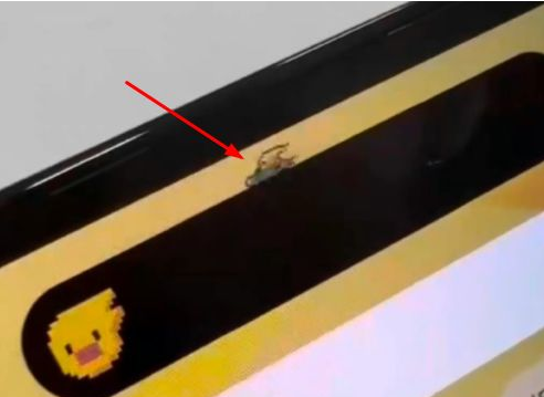 池州苹果14维修分享iPhone 14 Pro Max灵动岛怎么养宠物 