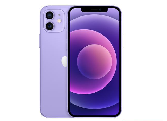 池州苹果手机维修分享现阶段要不要入手紫色版iPhone12 