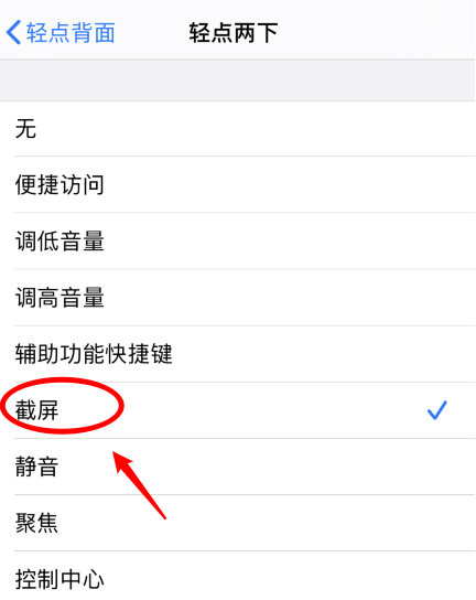 池州苹果手机维修分享iPhone12如何启用双击截屏 