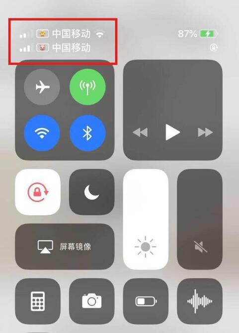 池州苹果手机维修分享为 iPhone 12 双卡设置标签 