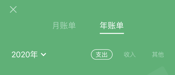 池州苹果手机维修分享如何在 iPhone 上查看支付宝和微信年支出账单 