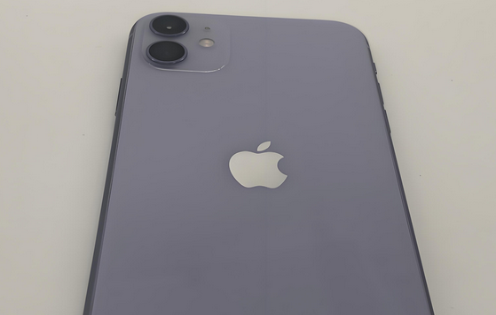 池州苹果11系统维修分享iPhone11手机系统崩溃无法开机如何解决 